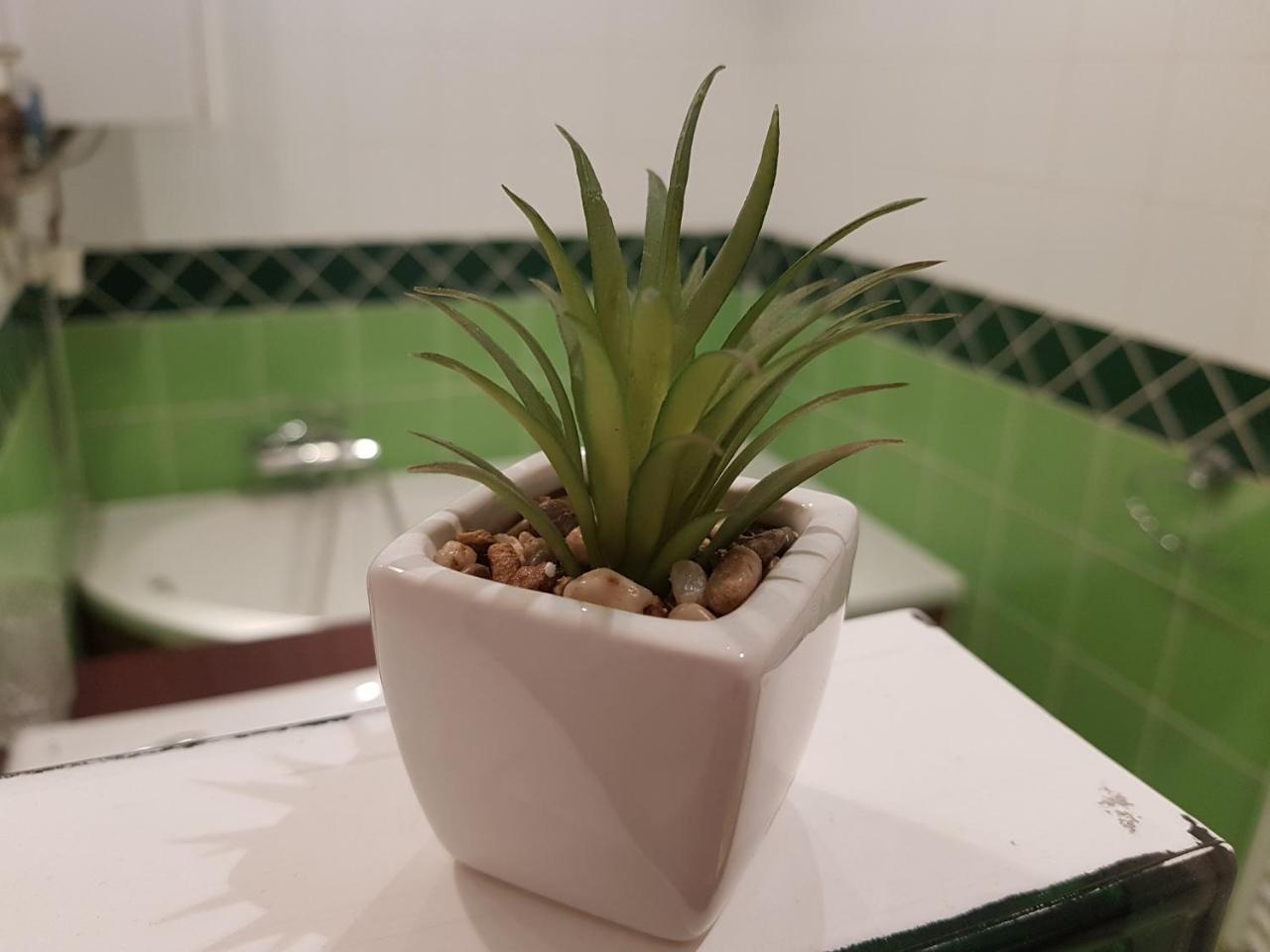 Deák Apartman Sopron Buitenkant foto